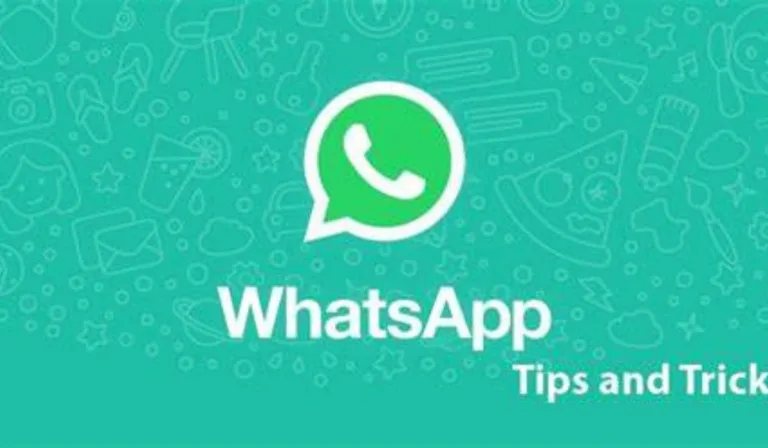 WhatsApp Features