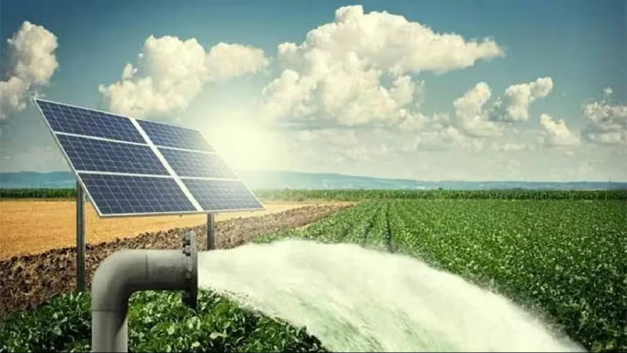 Solar Pump: सरकार ऐसे फ्री में दे रही 2.38 लाख, जानिए कुसुम योजना के लिए जरुरी दस्तावेज - Times Bull