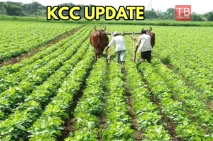 KCC NEWS 3