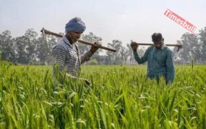 KISAN NEWS UPDATE