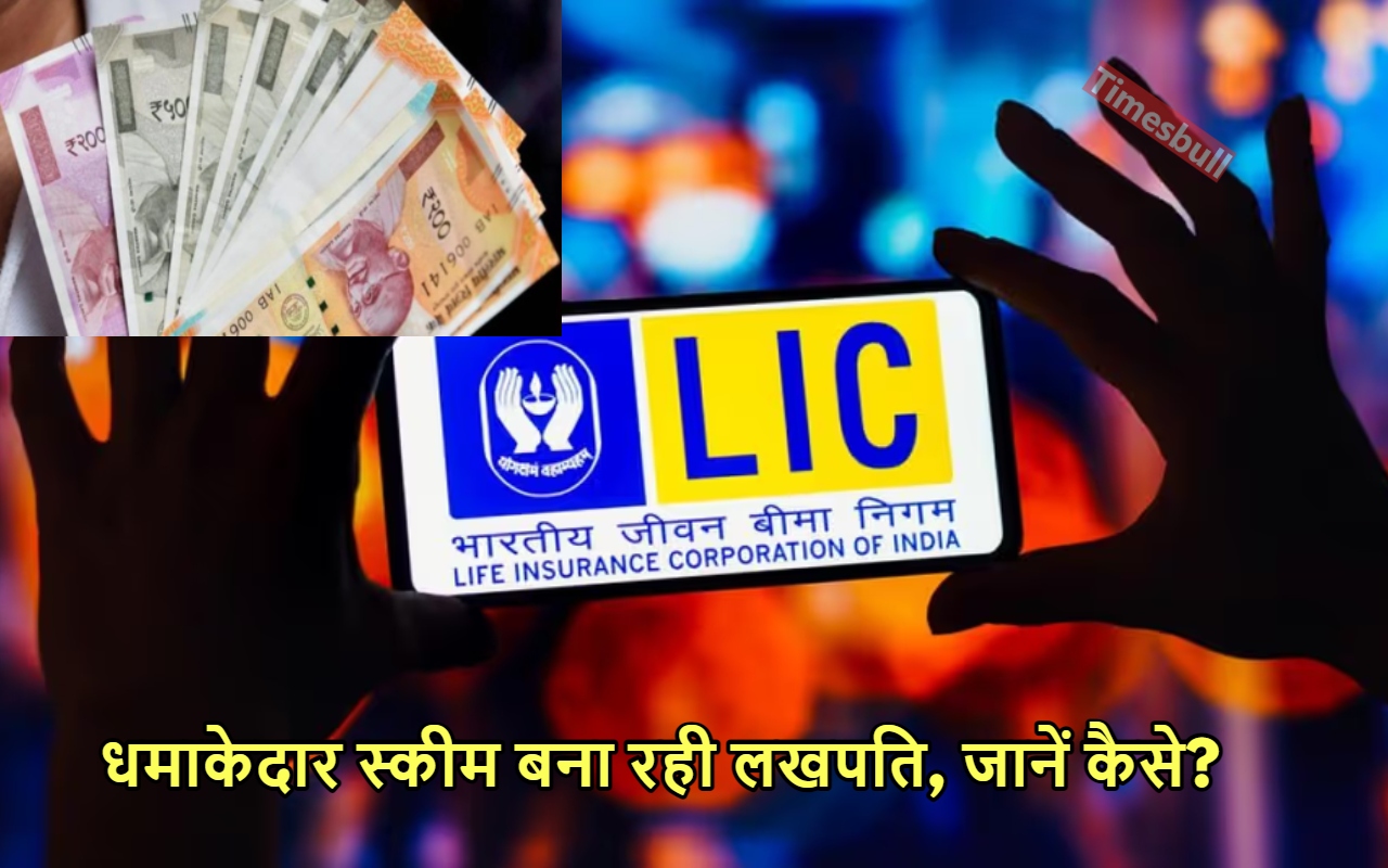 LIC NEWS