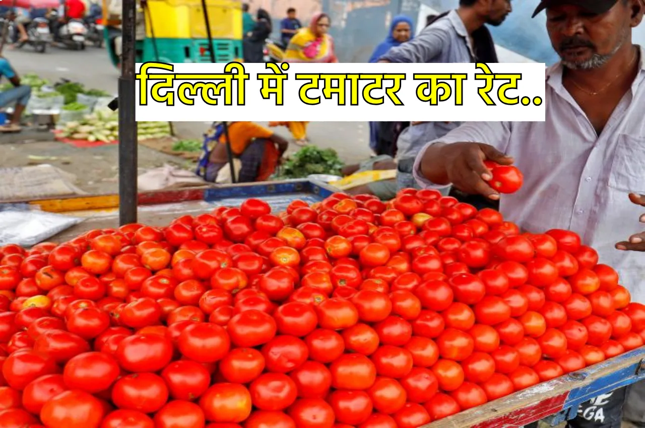 Tomato Prices Increase