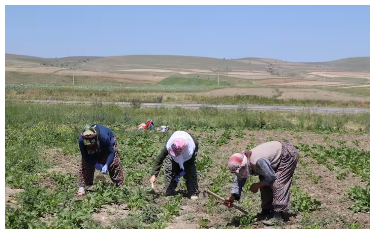 farmers scheme 1