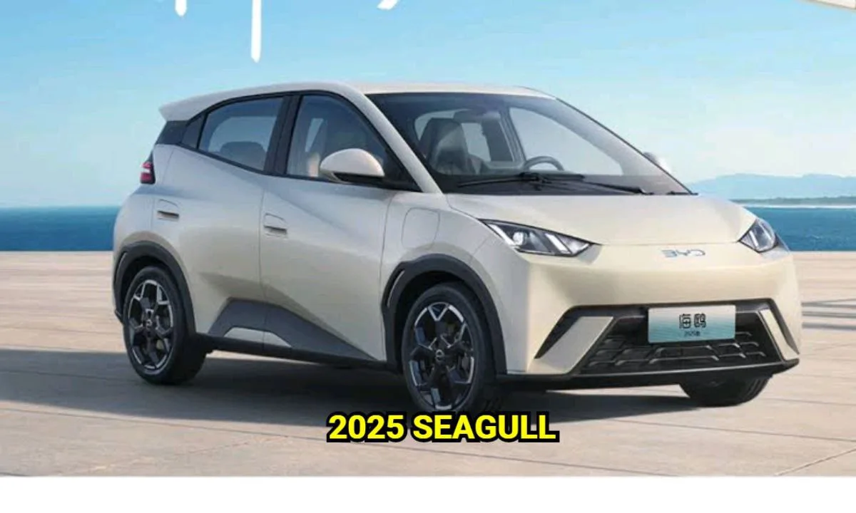 2025 Seagull jpg