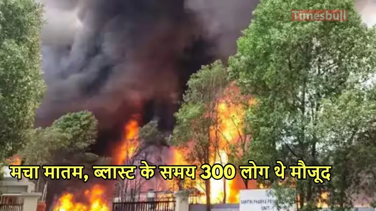 Andhra pradesh Plant Blast