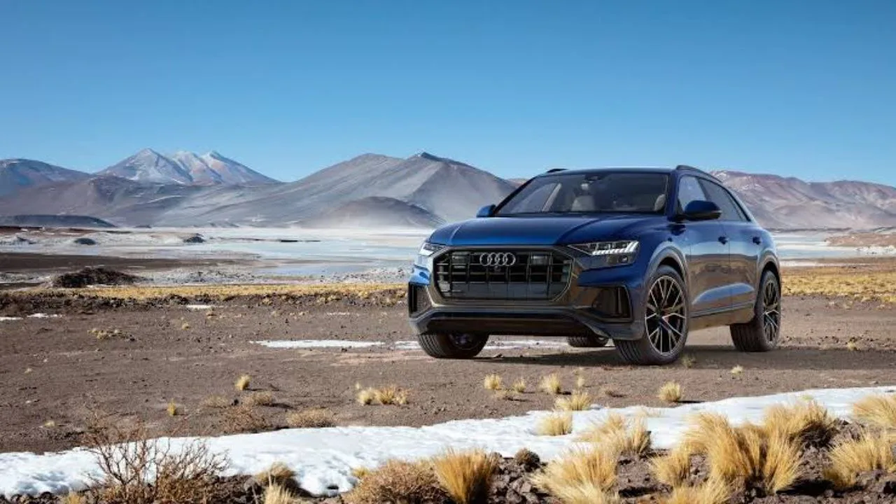 Audi Q8 2 jpg