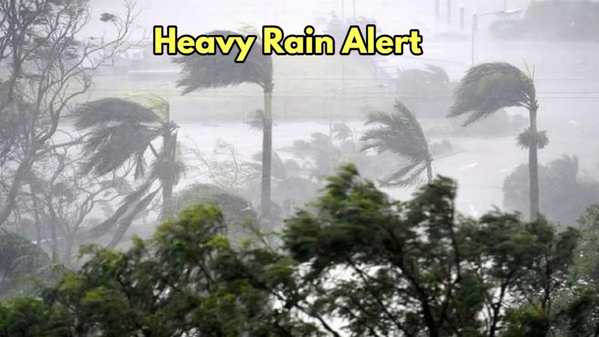 Heavy Rain Alert