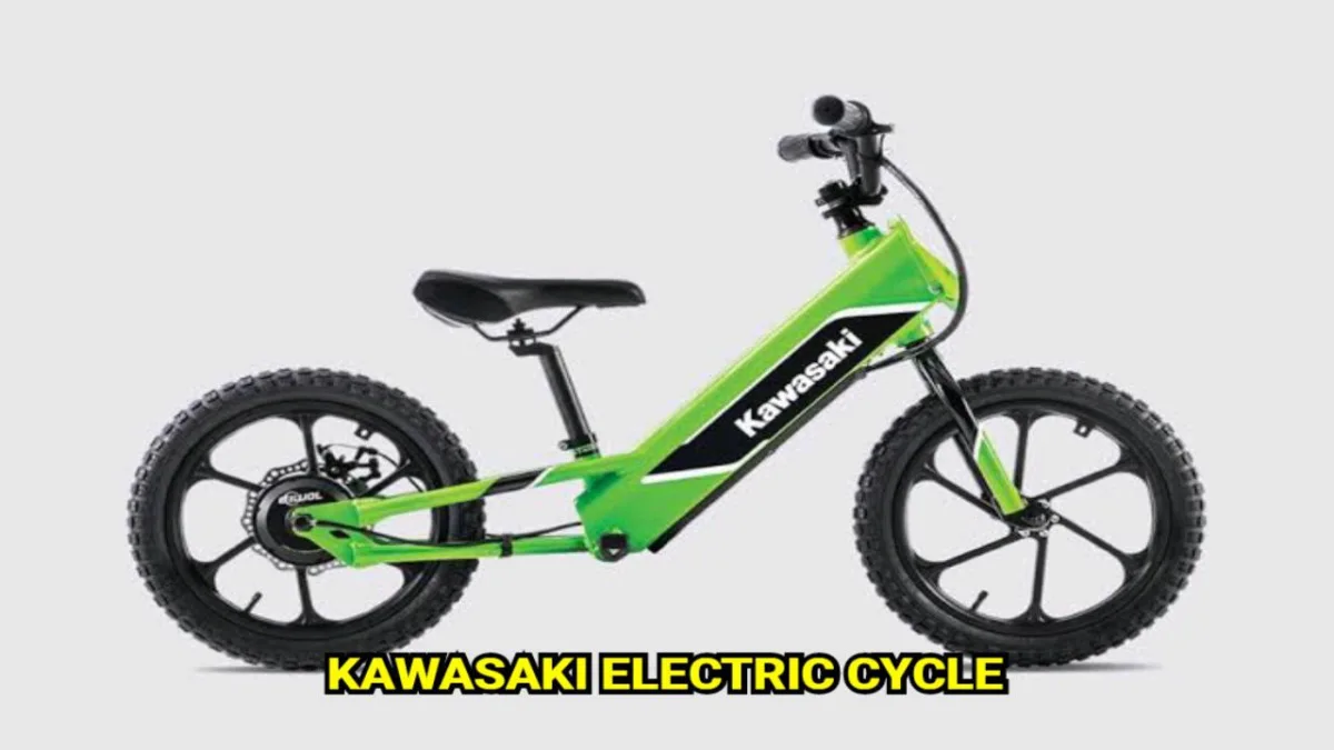 Kawasaki Electric Cycle