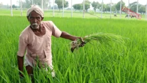 PM KISAN YOJANA NEWS 3