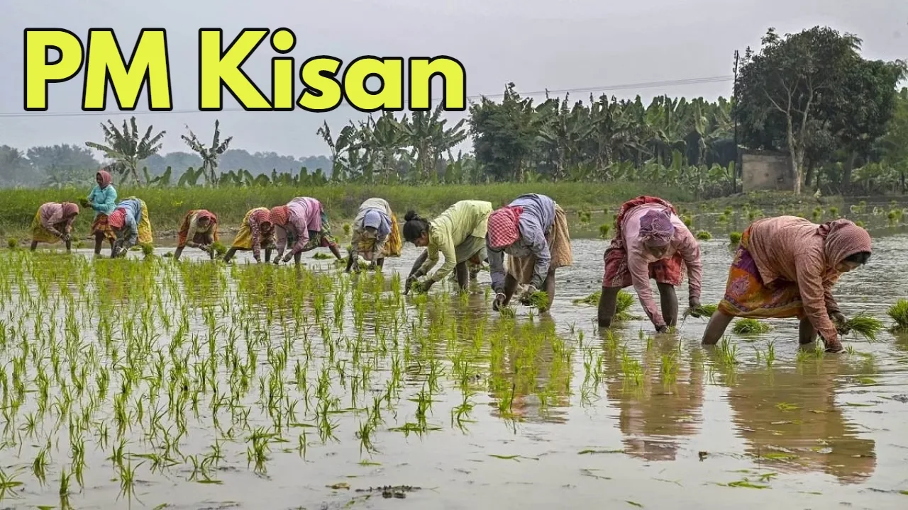 PM Kisan 2 jpg