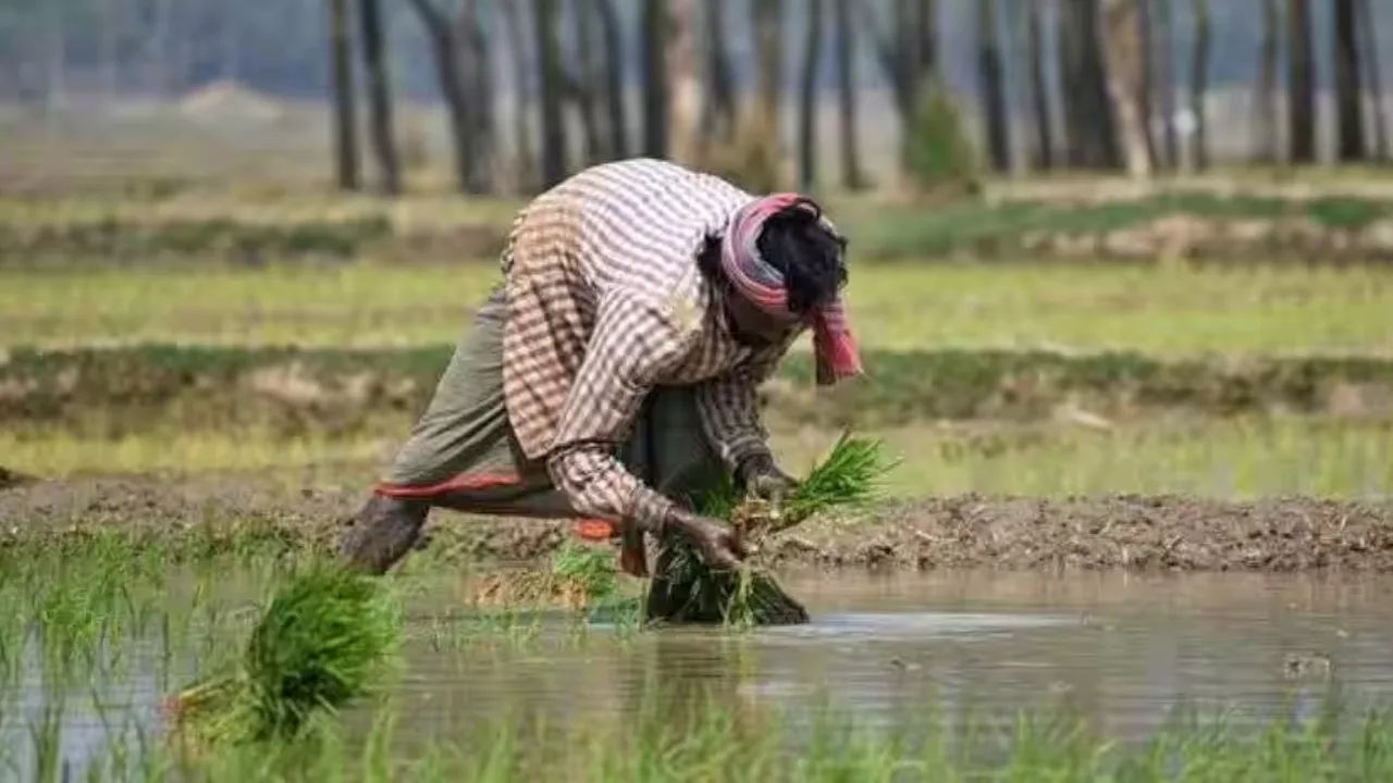 PM Kisan Yojana