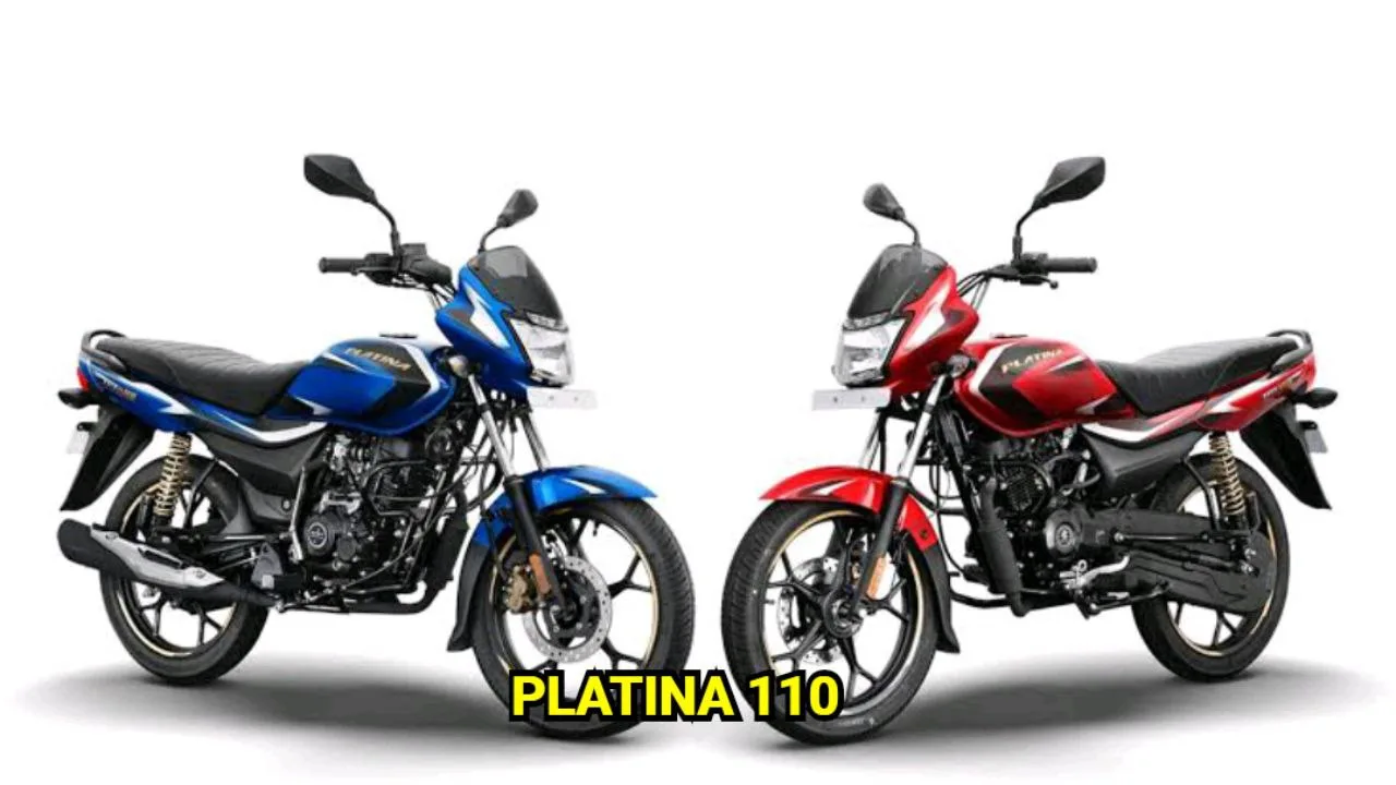 Platina 110 1 jpg