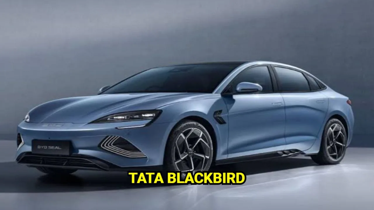 Tata Blackbird jpg