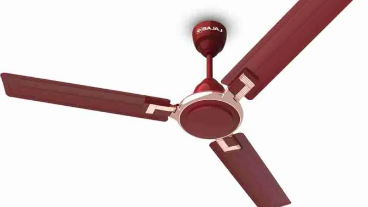 ceiling fan jpg