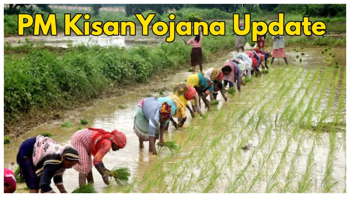 pm kisan update