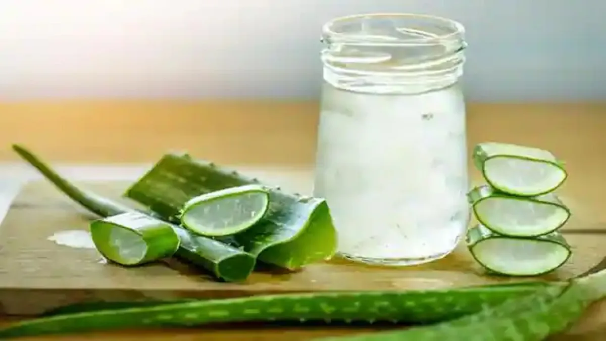 Aloe Vera Juice Can Be Dangerous for These Health Issues 1