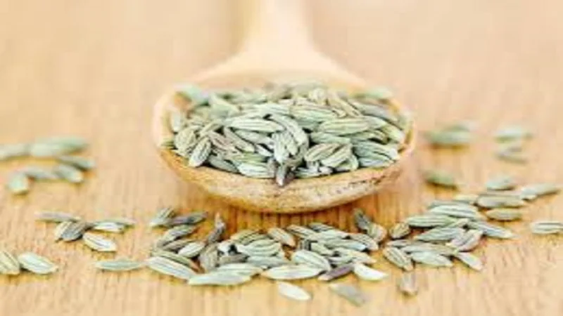 Fennel For digestion and gas