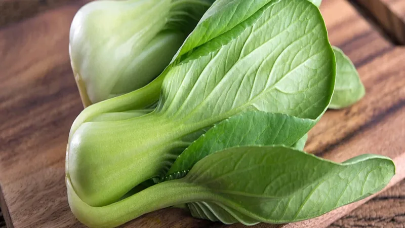 Pak Choi delicious and healthy cabbage from the Far East