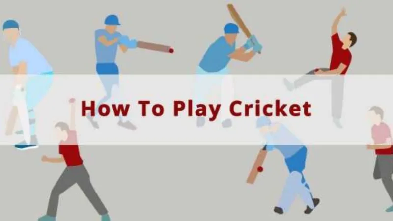 Play Cricket 2