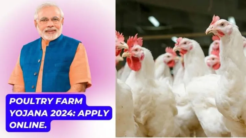 Poultry Farm Loan Subsidy Scheme 2024 1