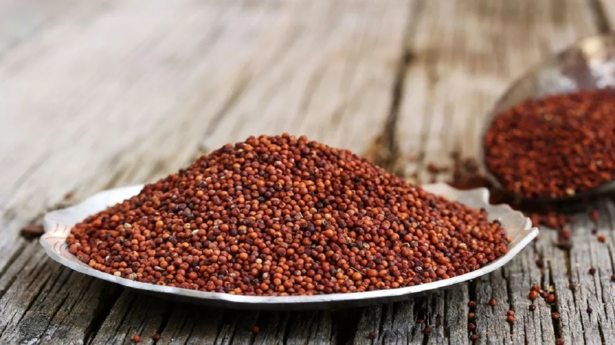 Ragi Health Benefits Possible Side Effects and the Best Ways to Add It to Your Diet