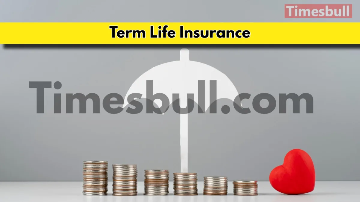 Term Life Insurance