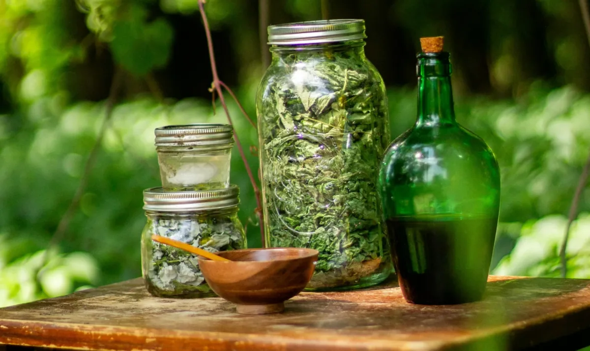 Ayurveda and Natural Remedies: Traditional medicine continues to be popular for prevention and treatment