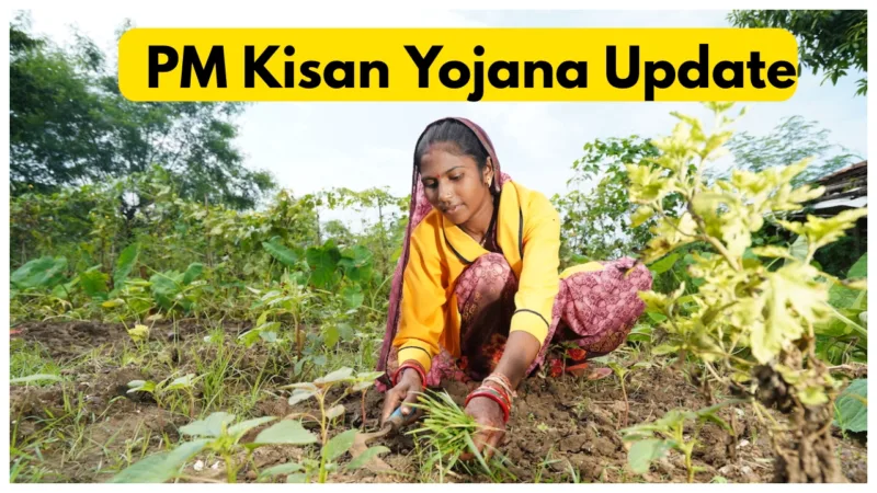 pm kisan yojana 3