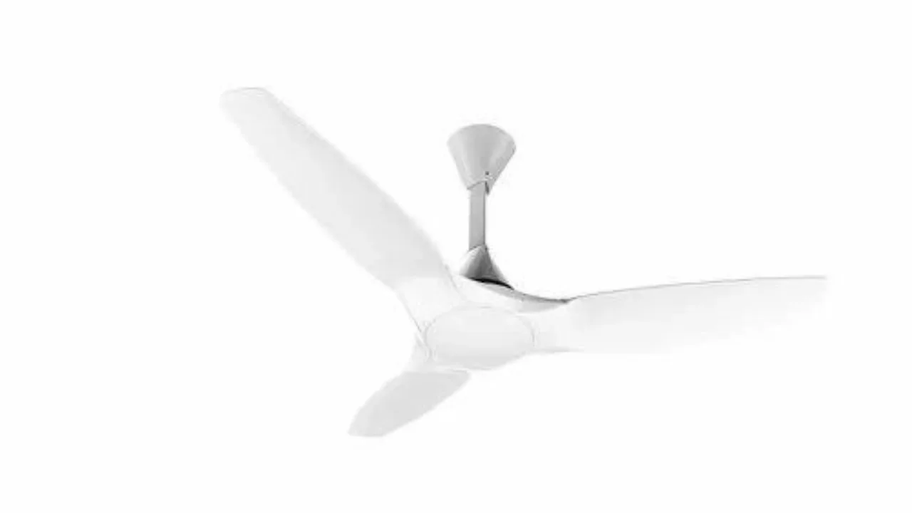 Ceiling fan 1 jpg