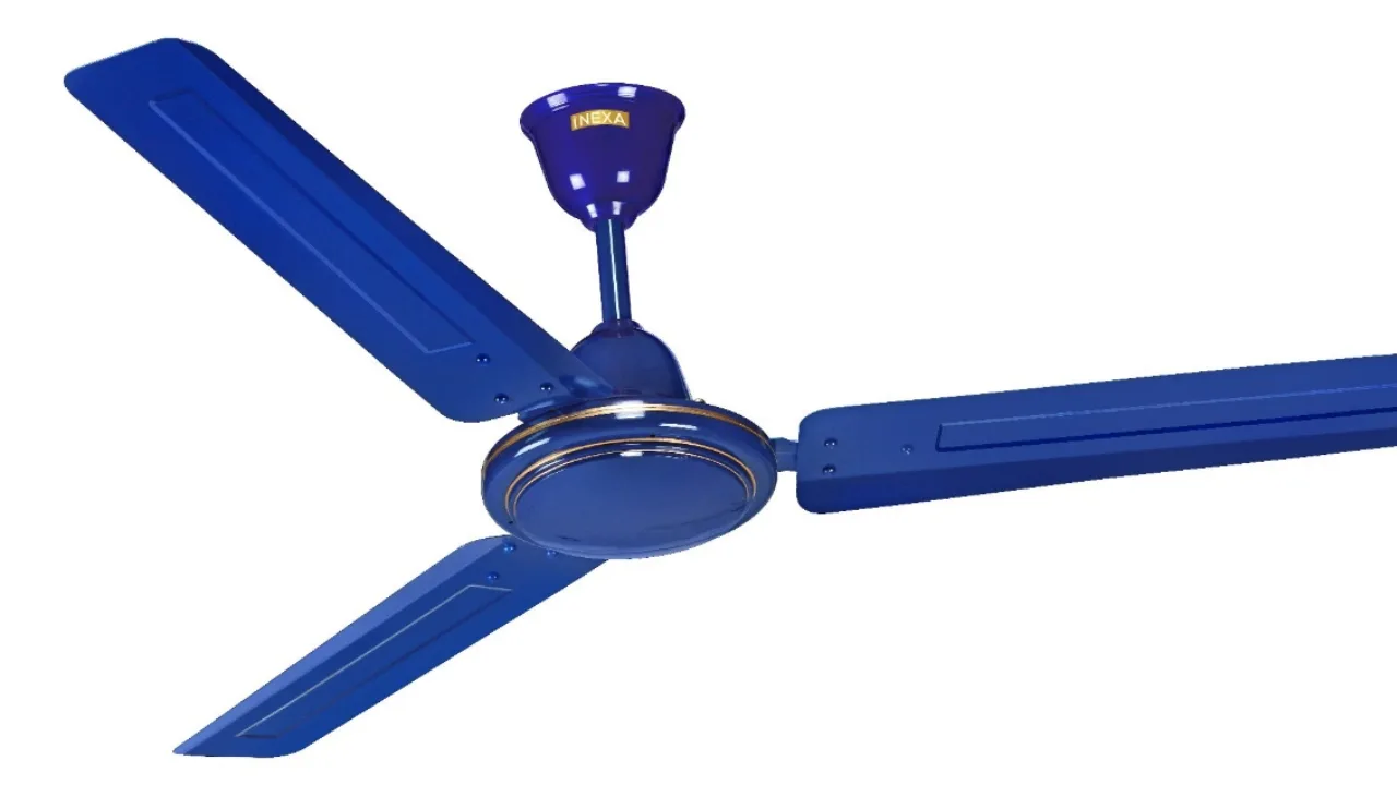 Ceiling fans 1 jpg