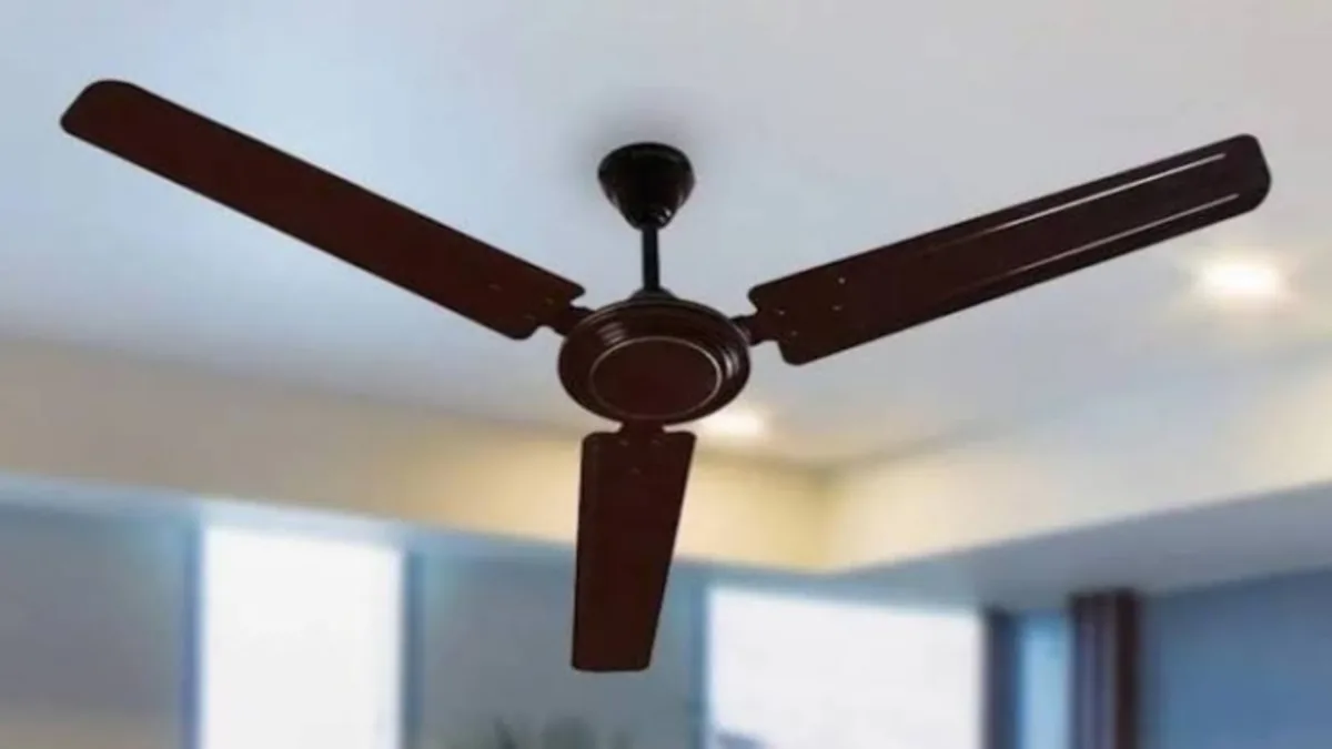 Ceiling fans