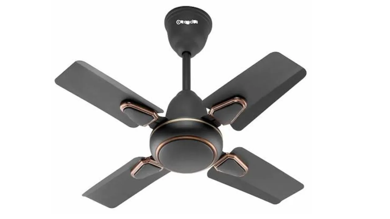 Decorative Ceiling Fans jpg