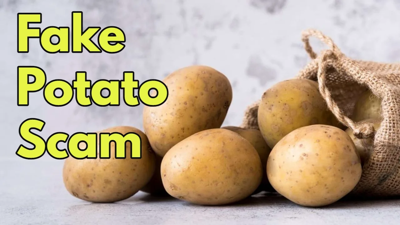 Fake Potato Scam 1 jpg