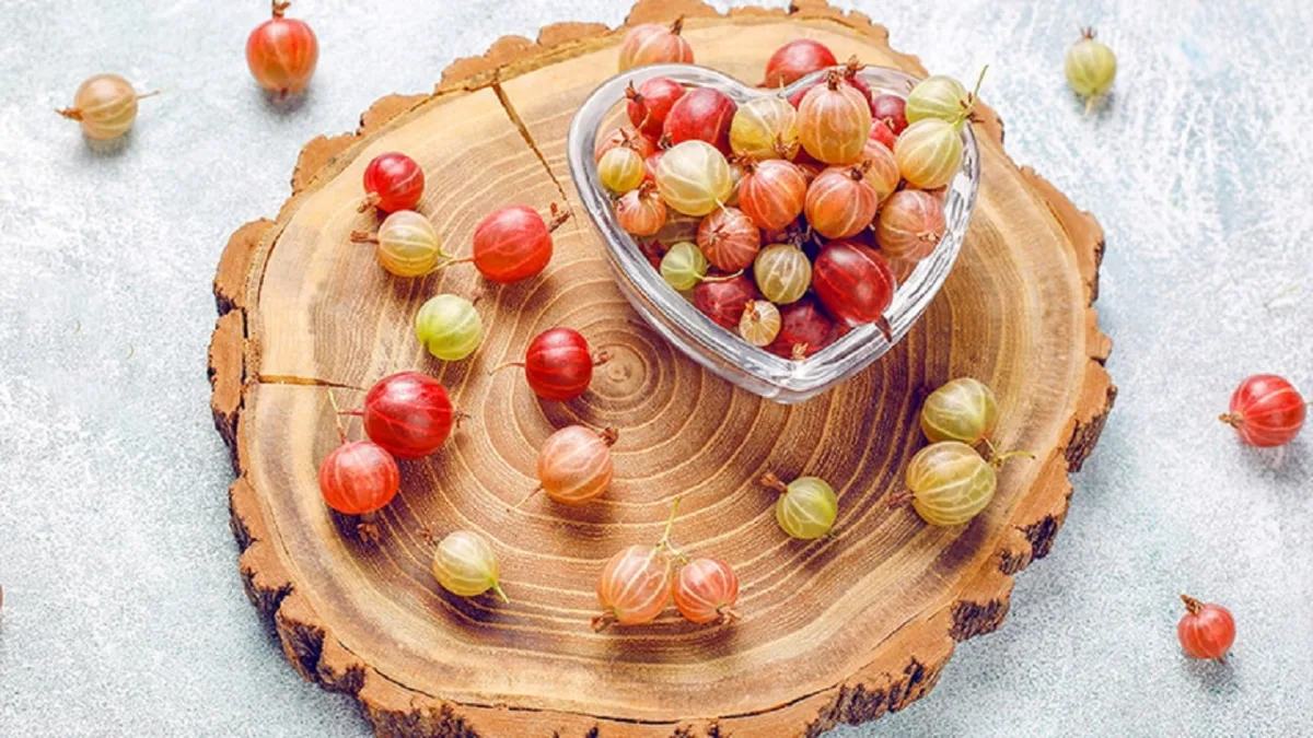 Gooseberry Benefits and Uses