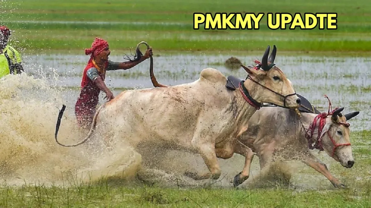 PMKMY NEWS