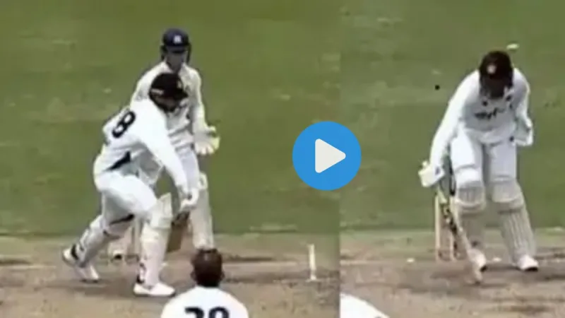 Cricket Viral Video