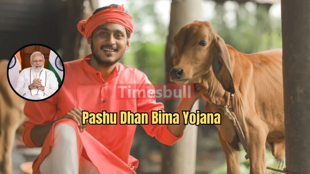 Pashu Dhan Bima Yojana