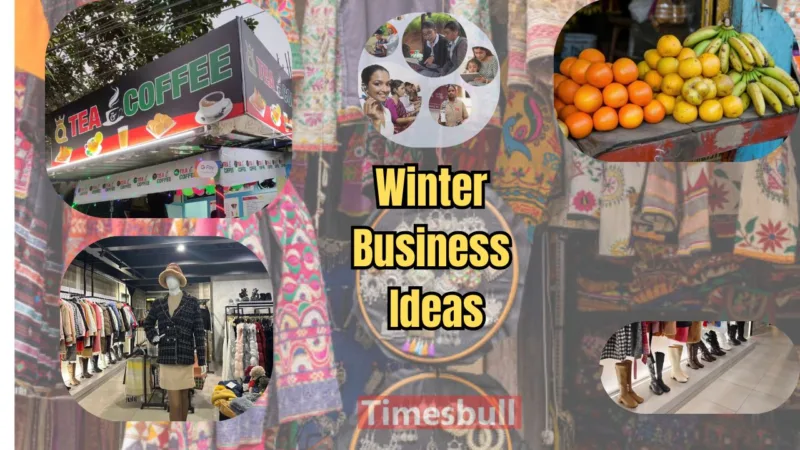 Winter Business Ideas