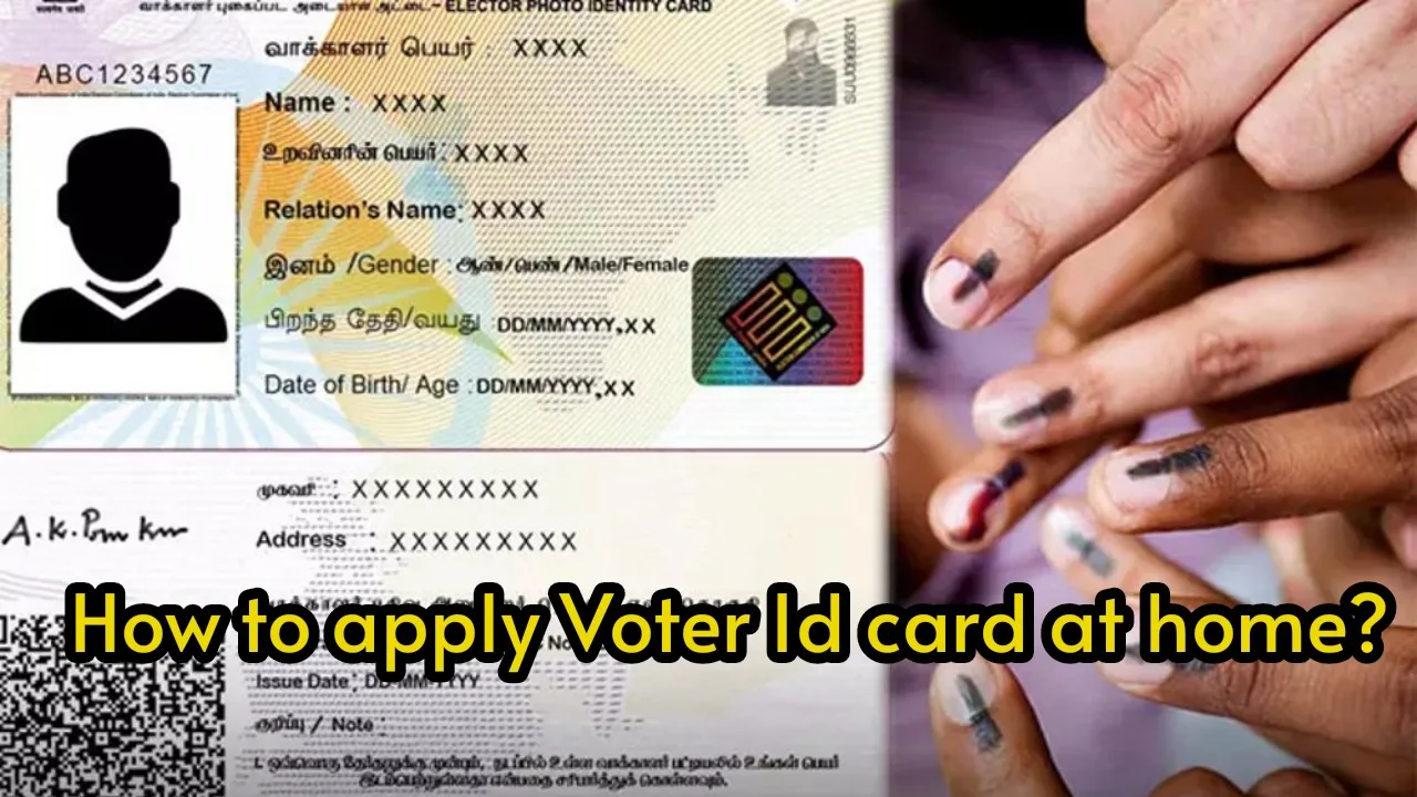 How to apply Voted Id card at home, know the ultimate guide