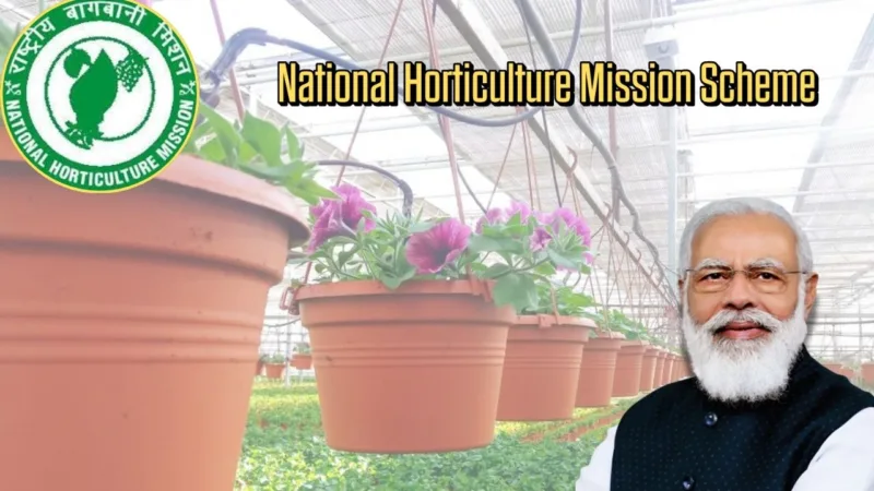 National Horticulture Mission Scheme