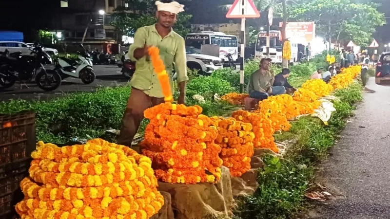 marigold business